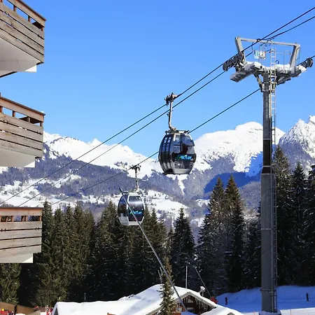 Grand N°309 - 2p5 * Morillon